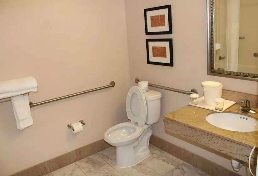 身障者適用スイートルーム, Holiday Inn Express & Suites Leesburg   Historic District, An Ihg