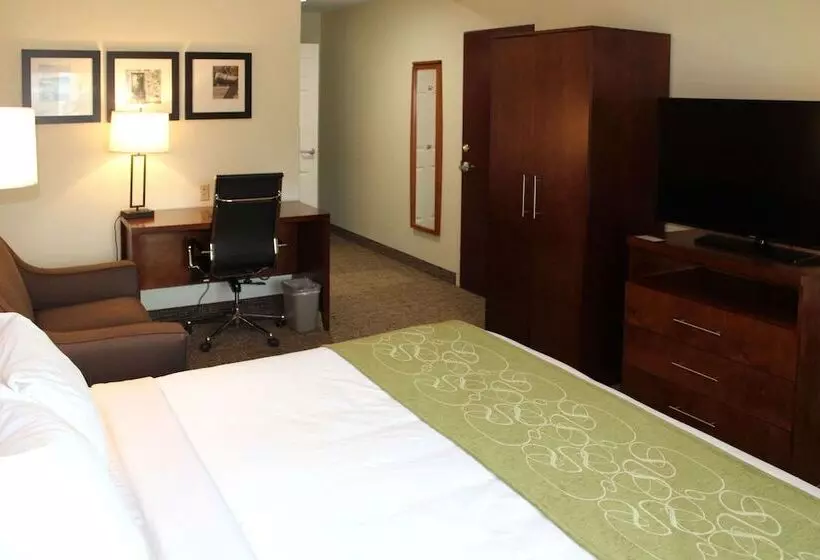 身障者適用スイートルーム, Holiday Inn Express & Suites Leesburg   Historic District, An Ihg