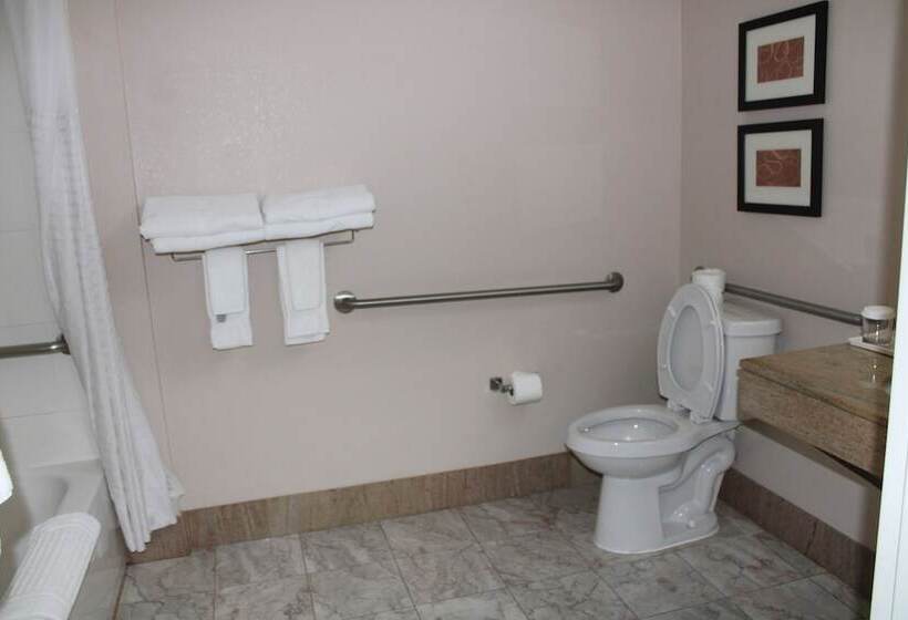 身障者適用スイートルーム, Holiday Inn Express & Suites Leesburg   Historic District, An Ihg