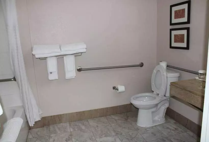 身障者適用スイートルーム, Holiday Inn Express & Suites Leesburg   Historic District, An Ihg