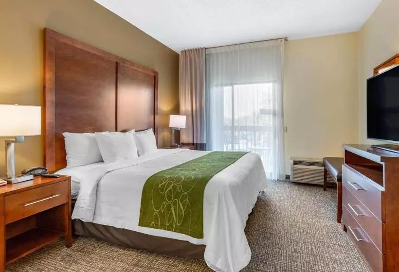 キングサイズベッドのスイートルーム, Holiday Inn Express & Suites Leesburg   Historic District, An Ihg