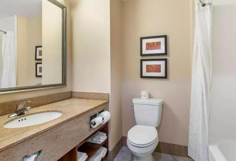 キングサイズベッドのエクゼクティブ, Holiday Inn Express & Suites Leesburg   Historic District, An Ihg
