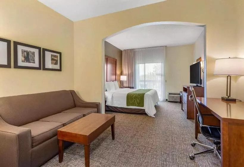 キングサイズベッドのエクゼクティブ, Holiday Inn Express & Suites Leesburg   Historic District, An Ihg
