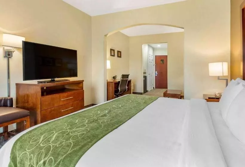キングサイズベッドのエクゼクティブ, Holiday Inn Express & Suites Leesburg   Historic District, An Ihg