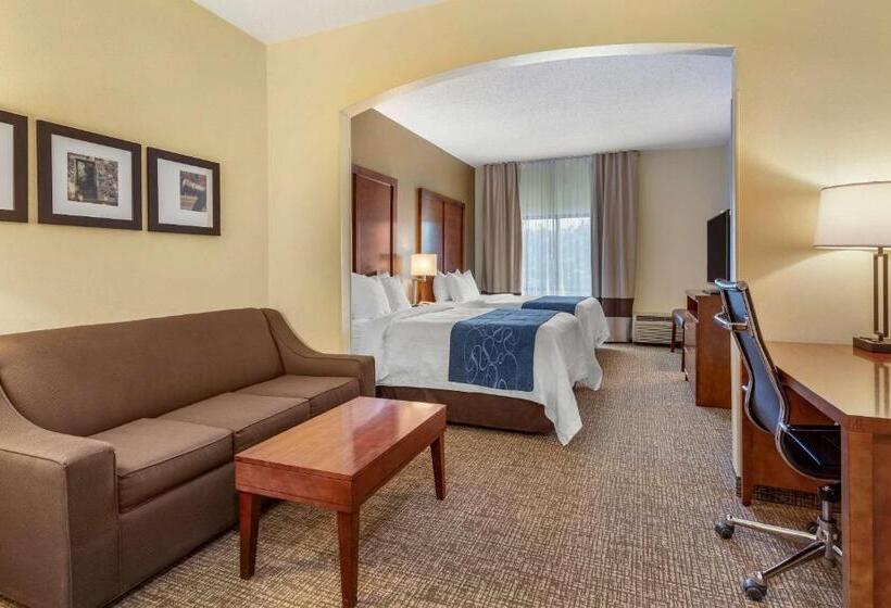 スイート, Holiday Inn Express & Suites Leesburg   Historic District, An Ihg