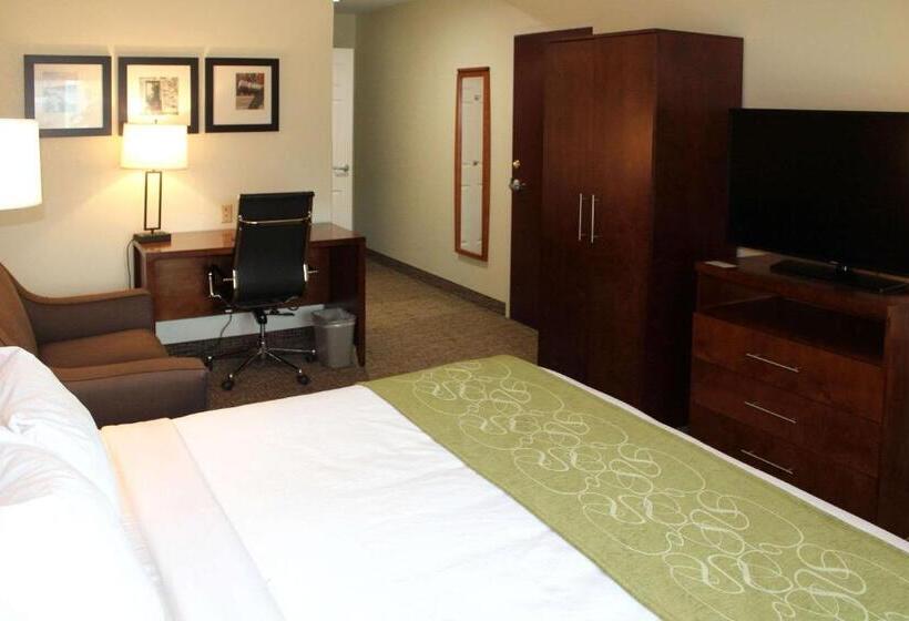 身障者適用キングサイズベッドルーム, Holiday Inn Express & Suites Leesburg   Historic District, An Ihg