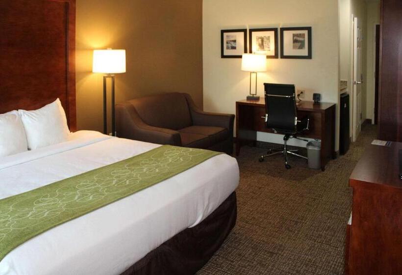 Номер Стандарт Кровать Кинг Адаптированный для Инвалидов, Holiday Inn Express & Suites Leesburg   Historic District, An Ihg