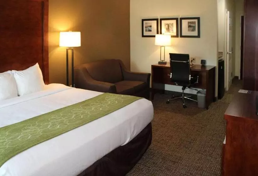 身障者適用キングサイズベッドルーム, Holiday Inn Express & Suites Leesburg   Historic District, An Ihg