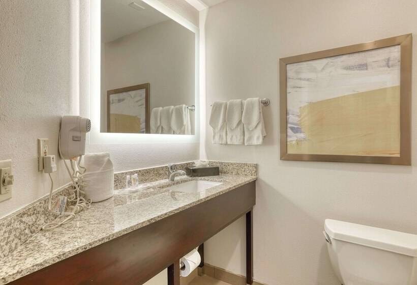 Люкс, Comfort Suites Milwaukee Airport