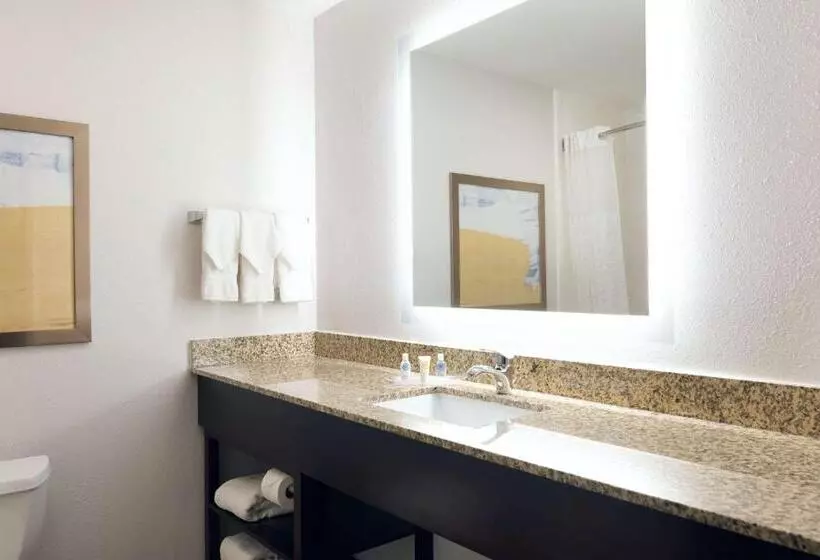سوئیت با تخت بزرگ, Comfort Suites Milwaukee Airport