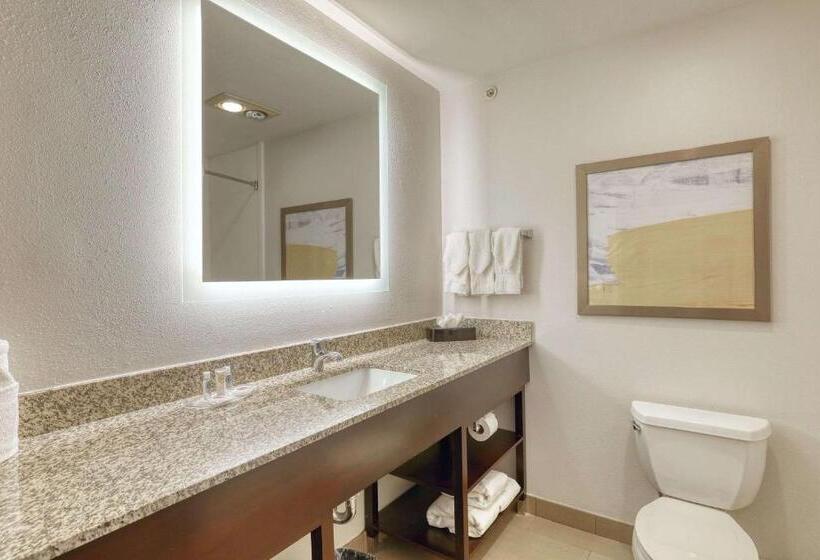 سوئیت با تخت بزرگ, Comfort Suites Milwaukee Airport