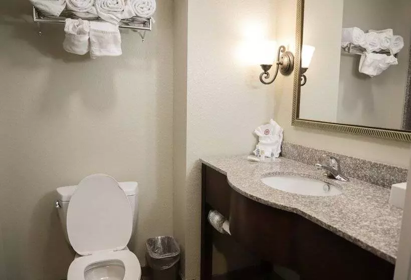 スイート, Comfort Suites Ocala North