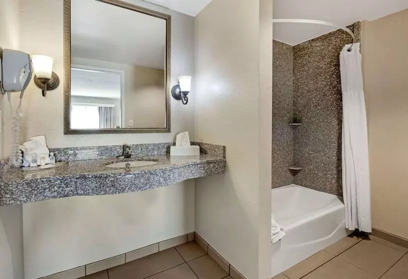 スイート, Comfort Suites Ocala North