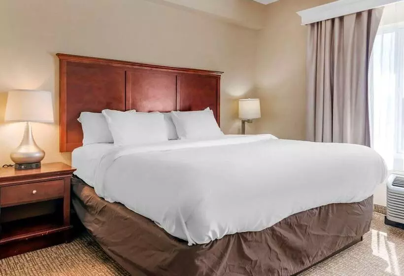 スイート, Comfort Suites Ocala North