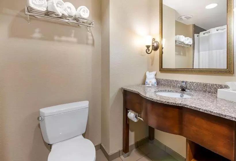 身障者適用スイートルーム, Comfort Suites Ocala North