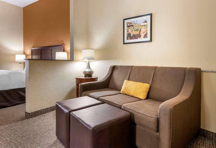 Люкс Адаптированный для Инвалидов, Comfort Suites Ocala North