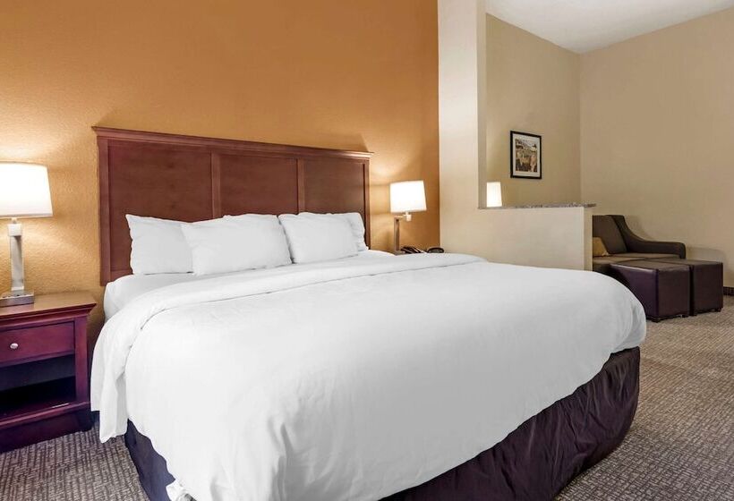 جناح لذوى الاحتياجات الخاصة, Comfort Suites Ocala North