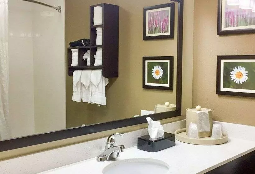 スイート, Comfort Suites Regency Park