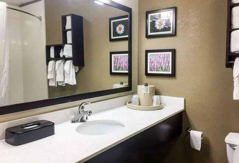 スイート, Comfort Suites Regency Park