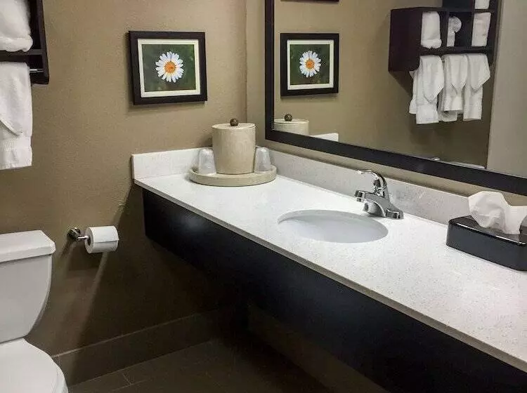 キングサイズベッドのスイートルーム, Comfort Suites Regency Park