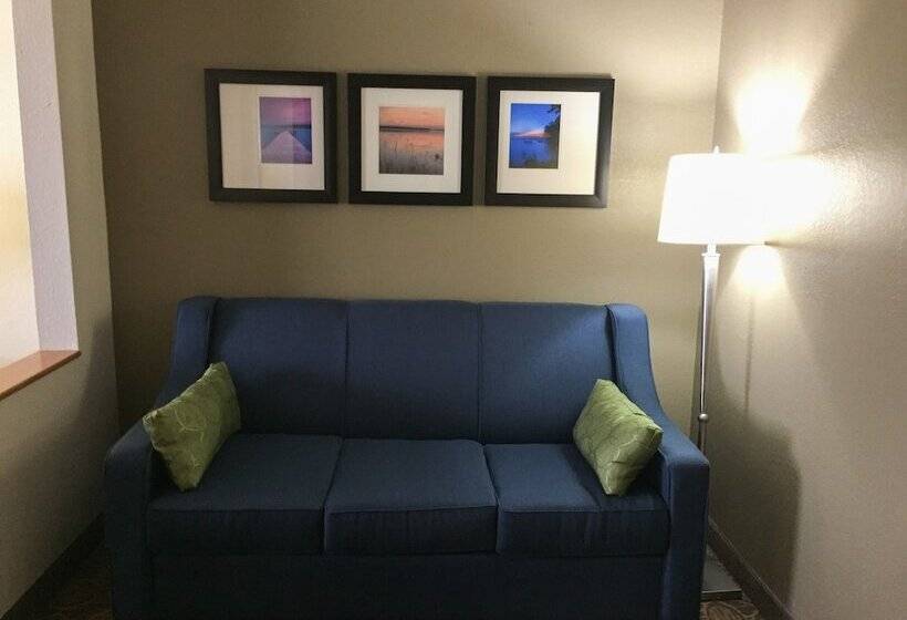 سوئیت با تخت بزرگ, Comfort Suites Regency Park