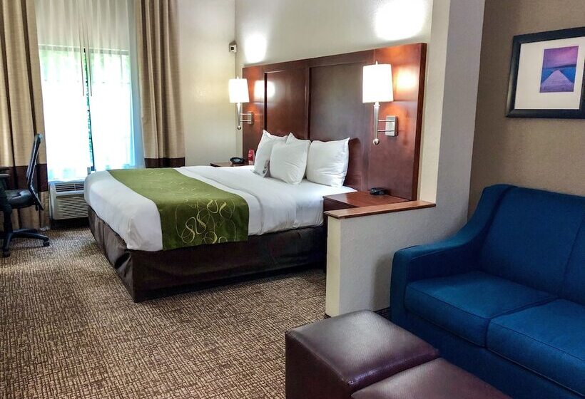 Люкс Кровать Кинг, Comfort Suites Regency Park