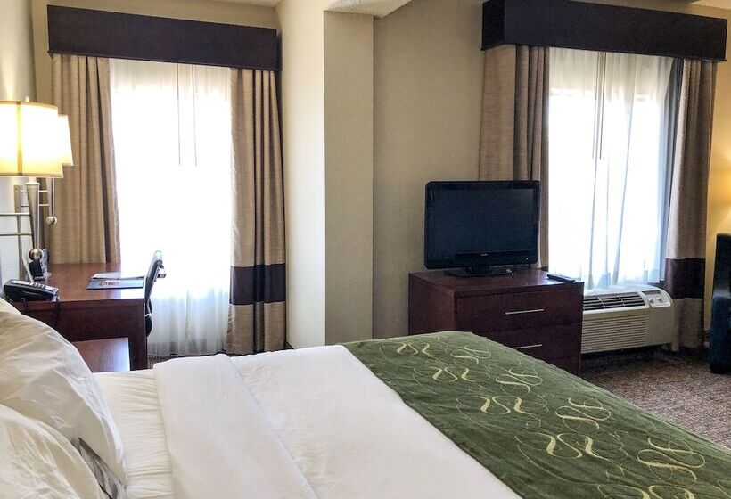 سوئیت با تخت بزرگ, Comfort Suites Regency Park