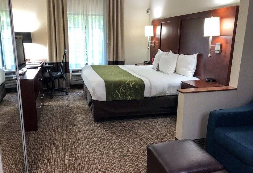 سوئیت با تخت بزرگ, Comfort Suites Regency Park