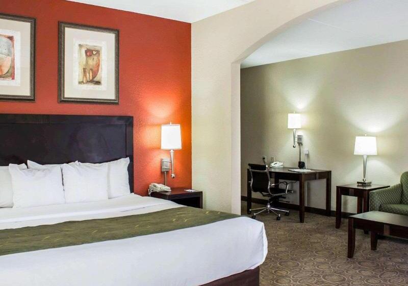 سوئیت با تخت بزرگ, Comfort Suites Regency Park