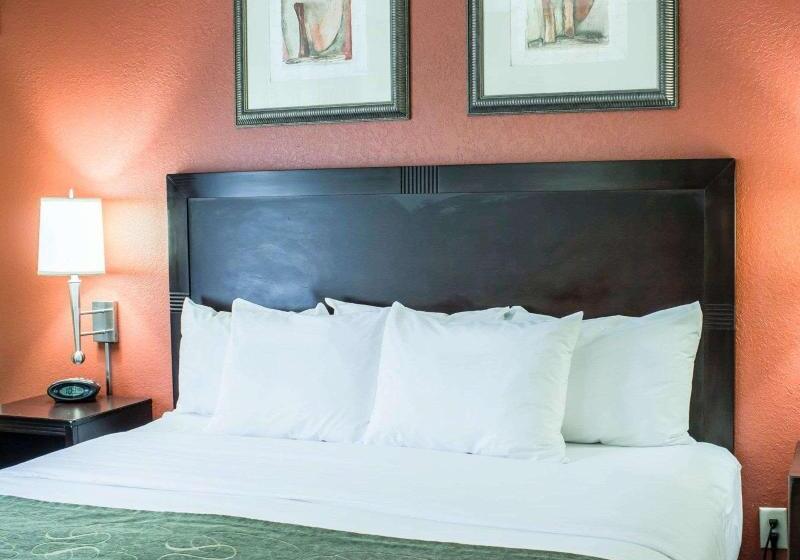 سوئیت با تخت بزرگ, Comfort Suites Regency Park