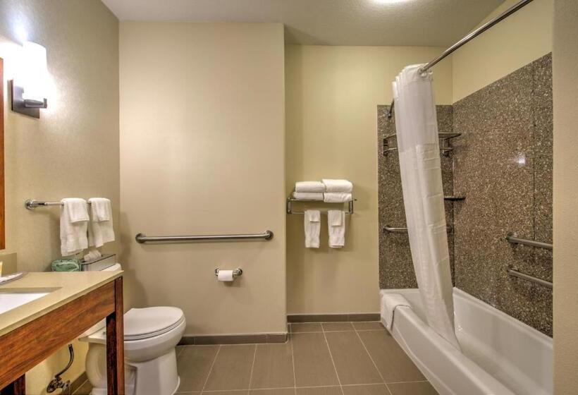 스위트 킹사이즈 침대, Comfort Suites Tomball Medical Center