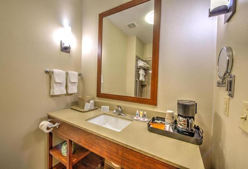 스위트 킹사이즈 침대, Comfort Suites Tomball Medical Center