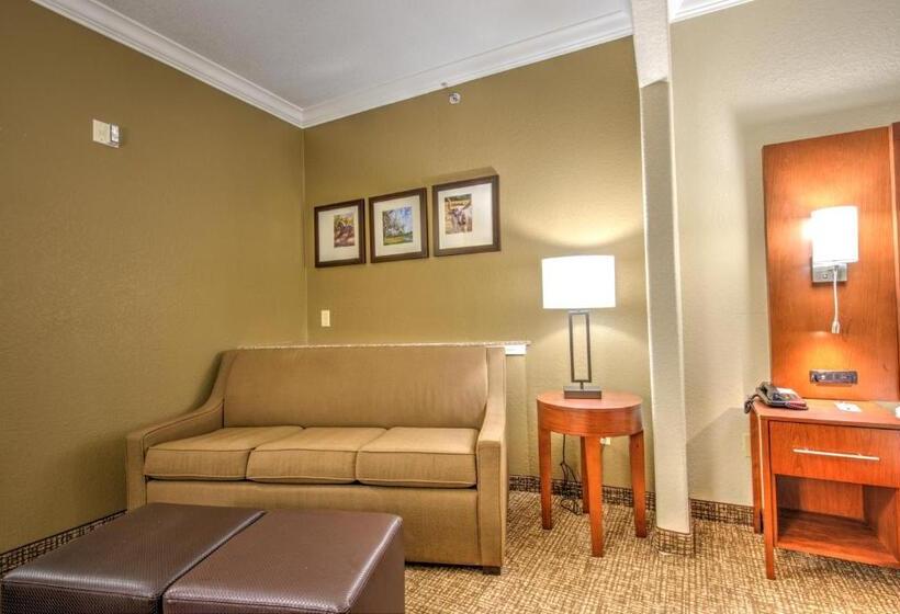 스위트 킹사이즈 침대, Comfort Suites Tomball Medical Center