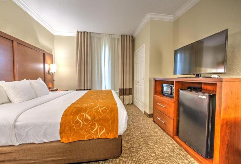 스위트 킹사이즈 침대, Comfort Suites Tomball Medical Center