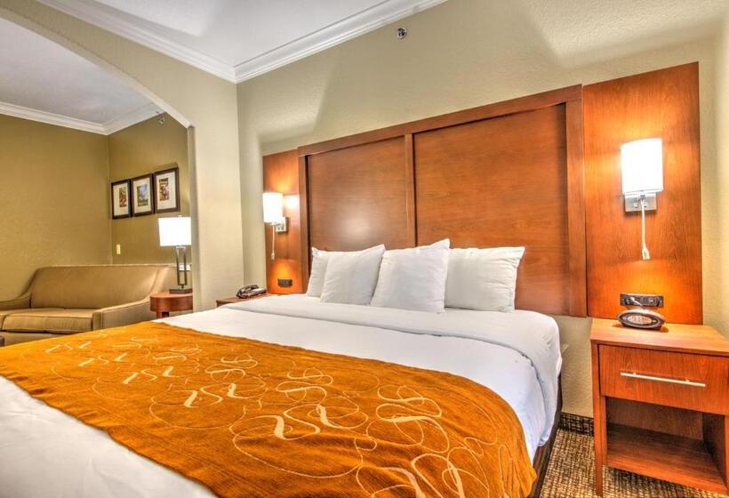 스위트 킹사이즈 침대, Comfort Suites Tomball Medical Center