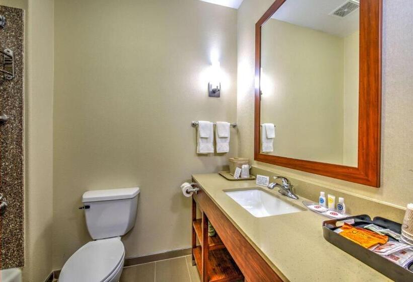 스위트 킹사이즈 침대, Comfort Suites Tomball Medical Center