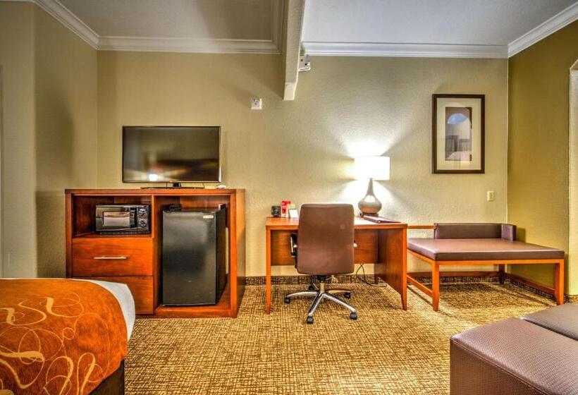 스위트 킹사이즈 침대, Comfort Suites Tomball Medical Center