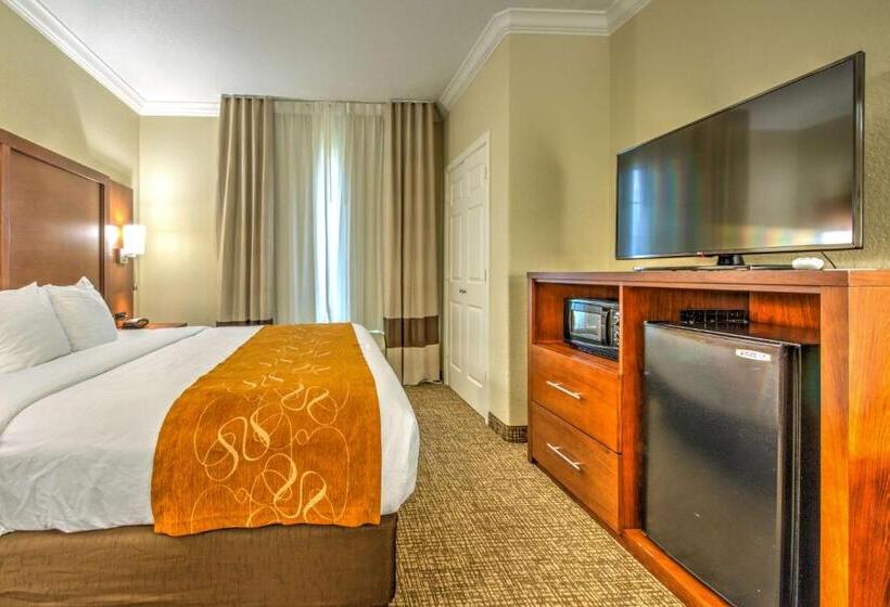 스위트 킹사이즈 침대, Comfort Suites Tomball Medical Center