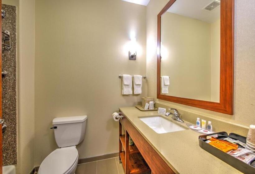 스위트, Comfort Suites Tomball Medical Center