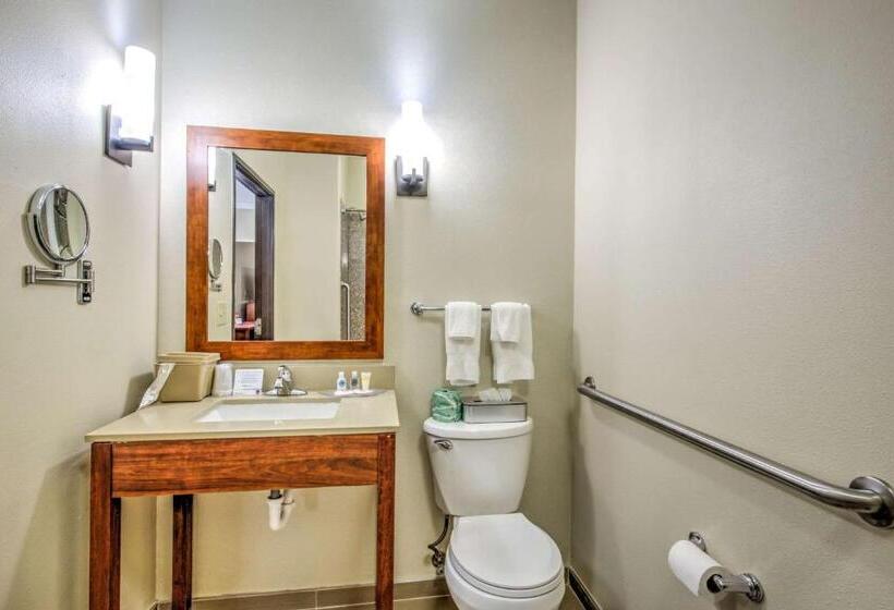 스위트, Comfort Suites Tomball Medical Center