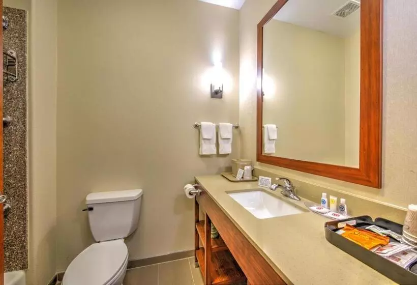 Sviitti Liikuntarajoitteisille, Comfort Suites Tomball Medical Center