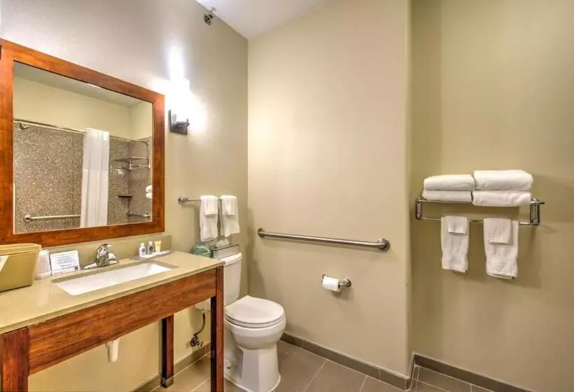 Sviitti Liikuntarajoitteisille, Comfort Suites Tomball Medical Center