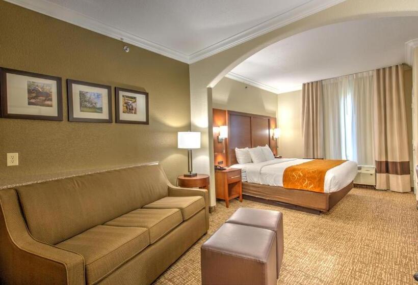 장애인을 위한 스위트, Comfort Suites Tomball Medical Center