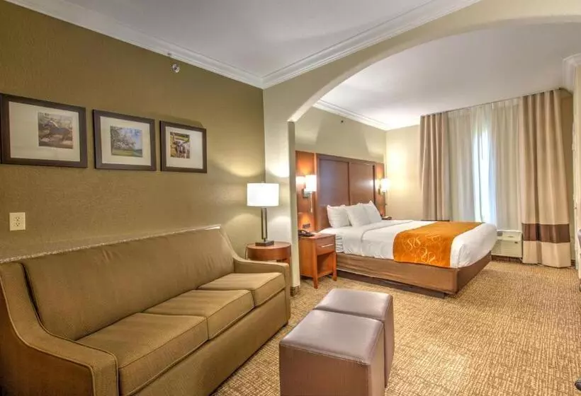 Sviitti Liikuntarajoitteisille, Comfort Suites Tomball Medical Center