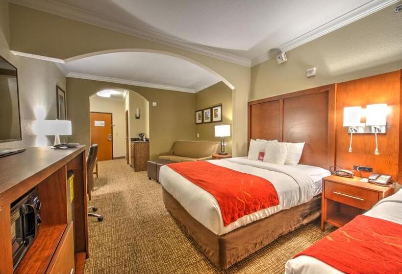 장애인을 위한 스위트, Comfort Suites Tomball Medical Center