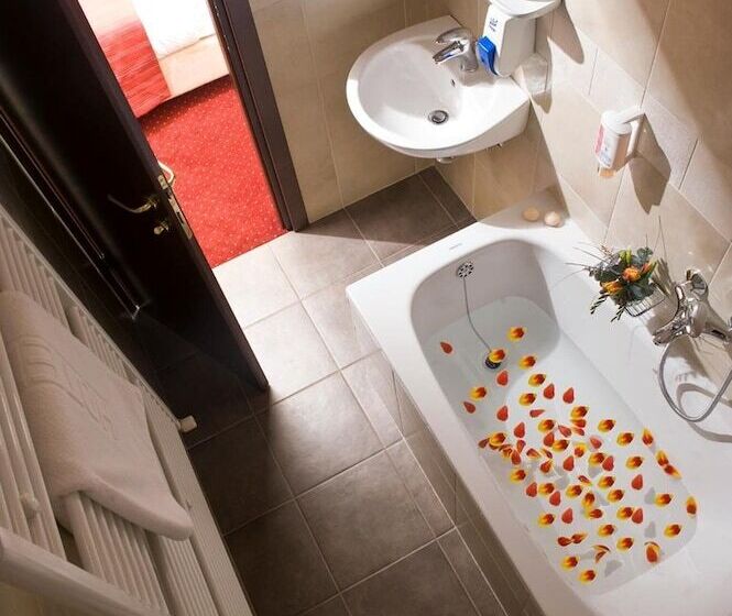 スタンダードシングルルーム, Continental