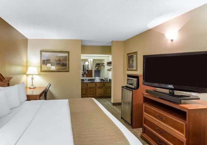 اتاق استاندارد با تخت بزرگ, Quality Inn & Suites