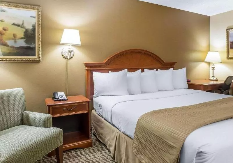 اتاق استاندارد با تخت بزرگ, Quality Inn & Suites