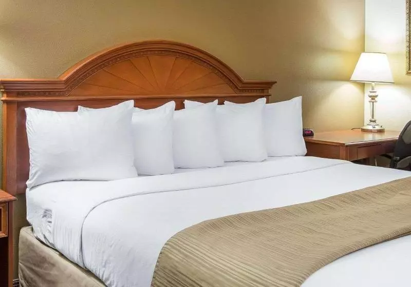 اتاق استاندارد با تخت بزرگ, Quality Inn & Suites
