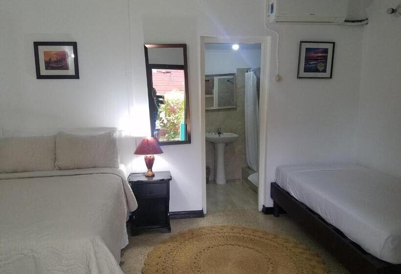 اتاق استاندارد, Roots Cafe Rooms